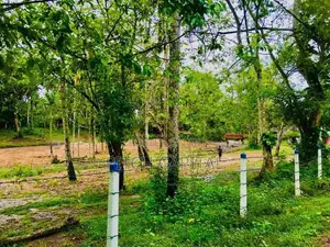 මඩොල් දූව වැවට මුහුණලා විකිණීමට අගනා බිම් කොටස්