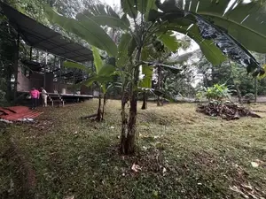 Land for Sale - Gampaha