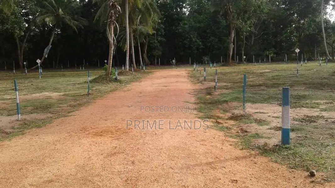 අනුරාධපුර පාළාඩිකුලම සින්නක්කර ඉඩමක් විකිණිමට