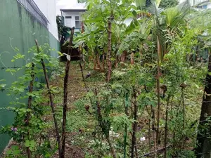 Land for Sale in Thalawathugoda