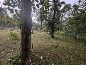 Land for Sale - Gampaha
