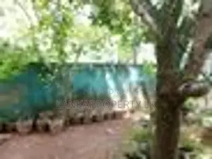 Complete Single Story House for Sale in Gonapala Horana.