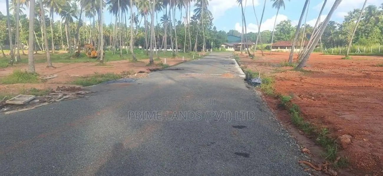 නේවාසික බිම් කොටස් පැල්ලන්දේනියෙන්