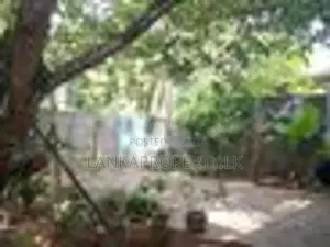 Complete Single Story House for Sale in Gonapala Horana.