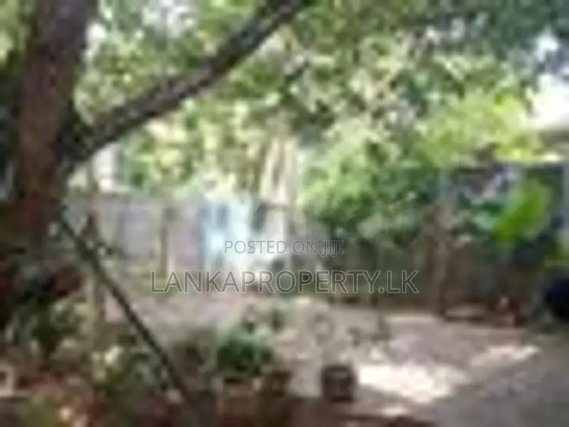 Complete Single Story House for Sale in Gonapala Horana.