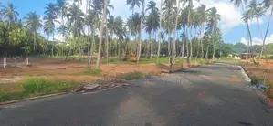 නේවාසික බිම් කොටස් පැල්ලන්දේනියෙන්