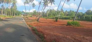 නේවාසික බිම් කොටස් පැල්ලන්දේනියෙන්