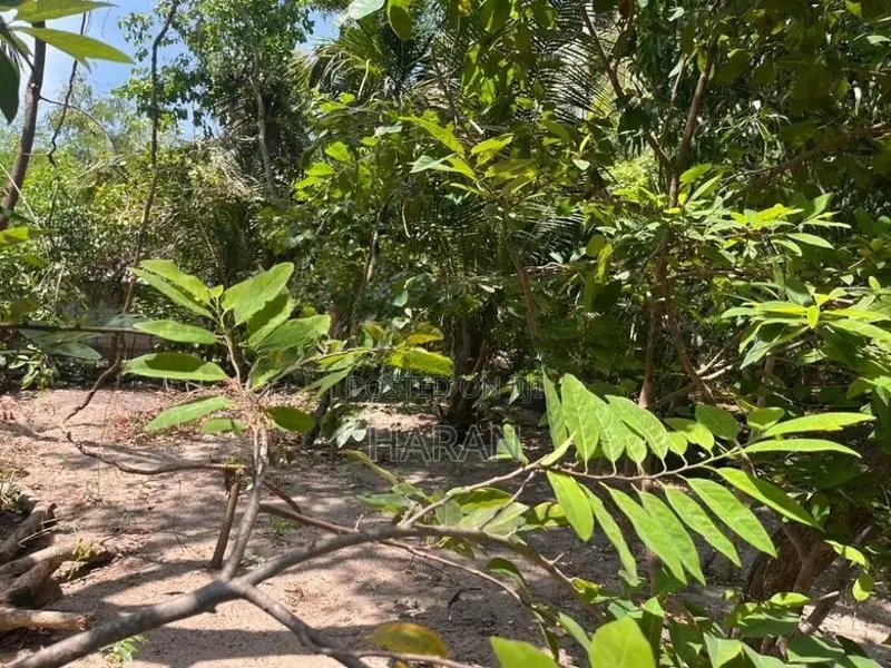 Land for Sale Batticaloa