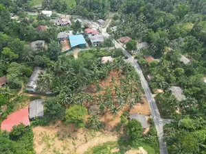 හංවැල්ල බස් පාරෙන්ම වටිනා ඉඩමක් විකිණීමට ඇත