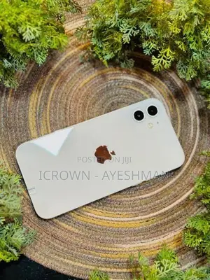 Apple iPhone 12 128GB (Used)
