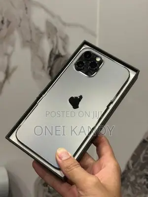 Apple iPhone 12 Pro Max 512GB (Used)