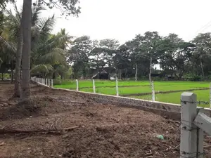 පදිංචියට වටිනා ඉඩමක් අඹගස්වැව