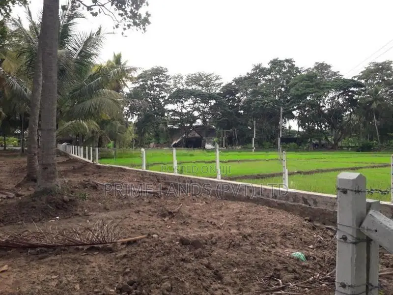 පදිංචියට වටිනා ඉඩමක් අඹගස්වැව