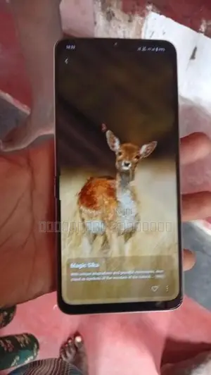 Vivo Y19 no damage error (Used)