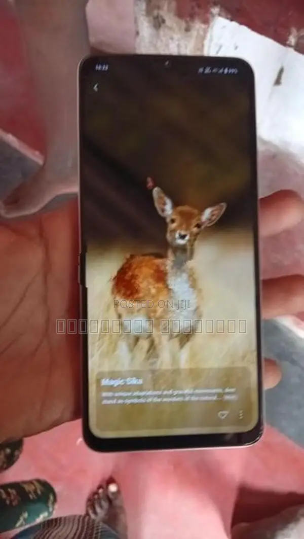 Vivo Y19 no damage error (Used)