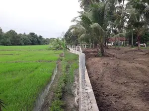 පදිංචියට වටිනා ඉඩමක් අඹගස්වැව