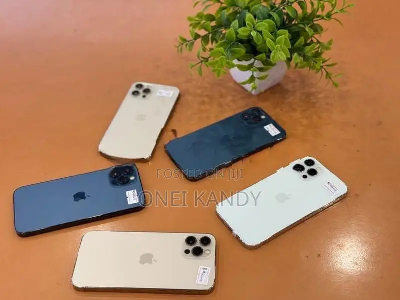 Apple iPhone 12 Pro 256GB (Used)