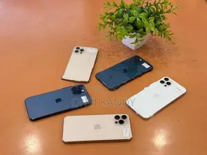 Apple iPhone 12 Pro 256GB (Used)