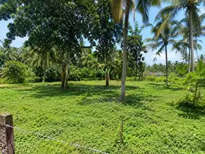 Valuable Residential Land for Sale Hakurukumbura, Mirigama