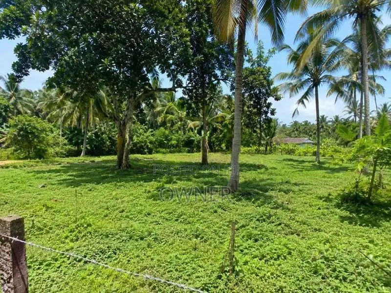 Valuable Residential Land for Sale Hakurukumbura, Mirigama
