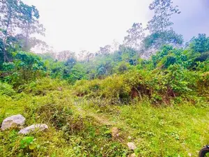 ( IS-1001) Valuable Commercial Land Sale in Homagama Madulawa