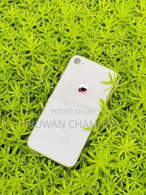 Apple iPhone 8 (Used)