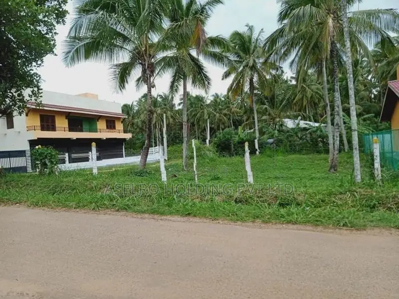 Land For Sale Katupotha