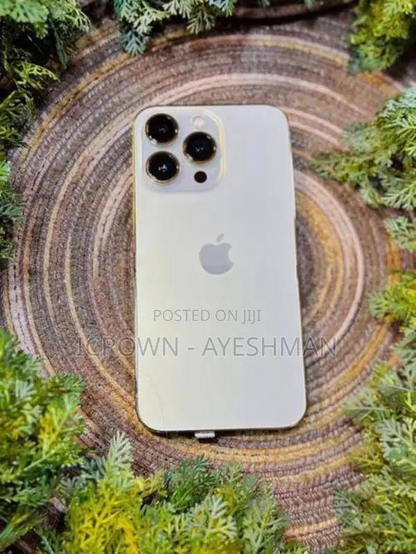 Apple iPhone 13 Pro 128GB (Used)