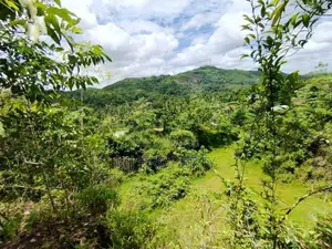 ( IS-1001) Valuable Commercial Land Sale in Homagama Madulawa