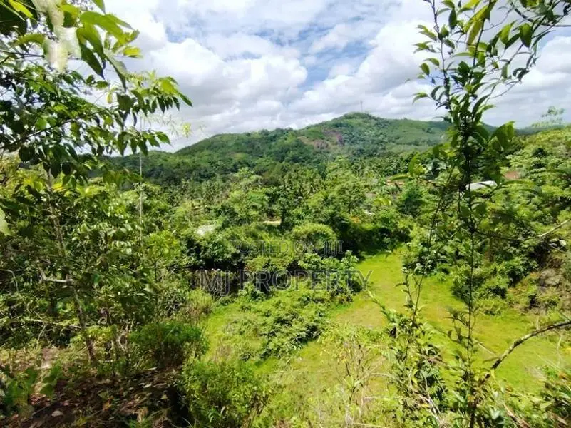 ( IS-1001) Valuable Commercial Land Sale in Homagama Madulawa