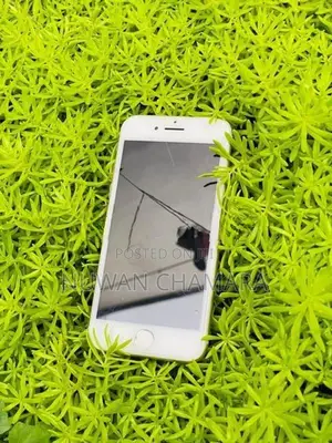 Apple iPhone 8 (Used)
