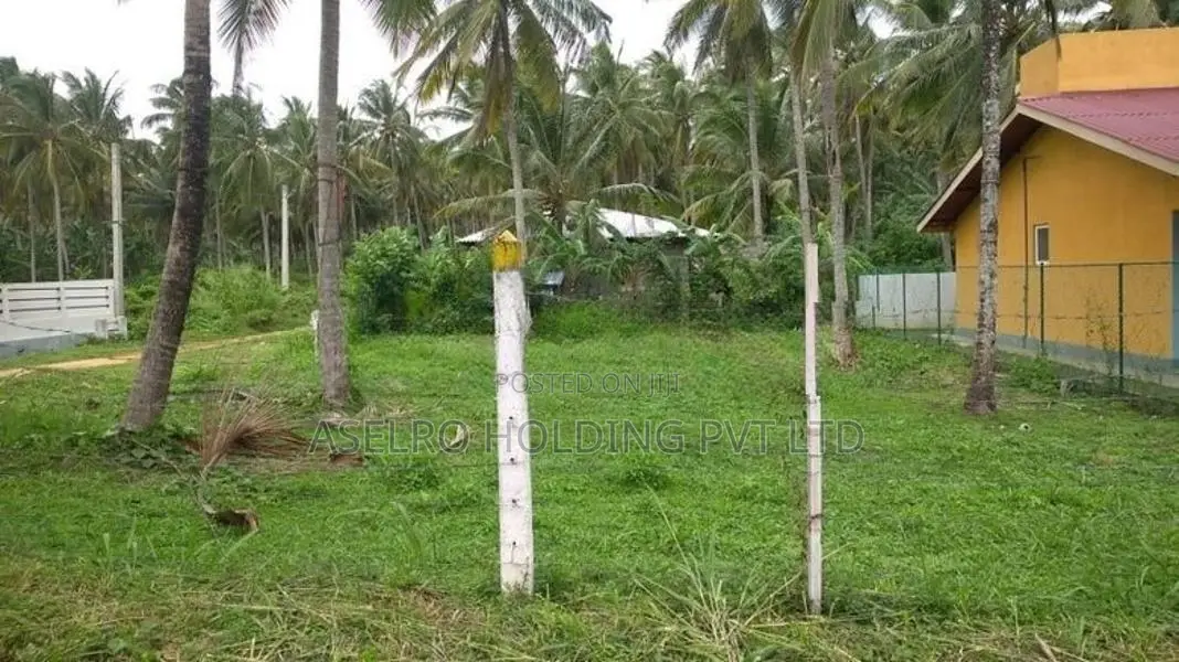 Land For Sale Katupotha