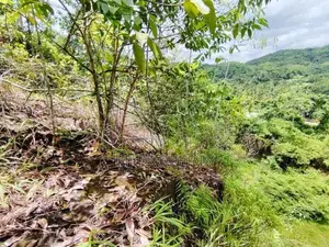 ( IS-1001) Valuable Commercial Land Sale in Homagama Madulawa