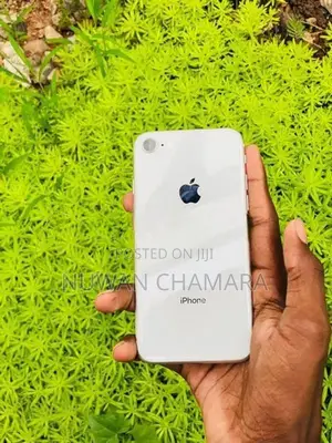 Apple iPhone 8 (Used)