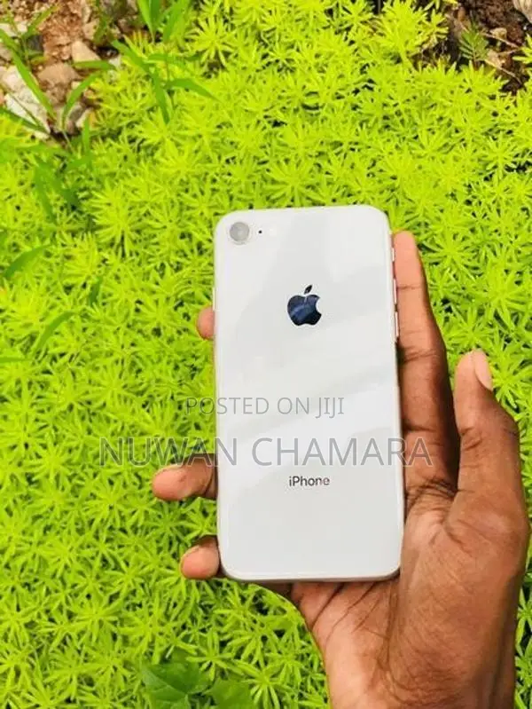 Apple iPhone 8 (Used)
