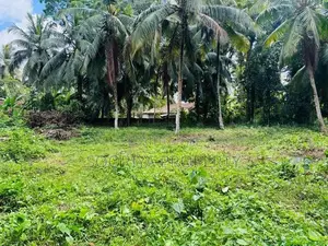 Valuable Land for Sale in Bandaragama