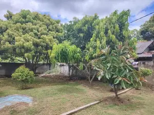 House for Sale Buttala