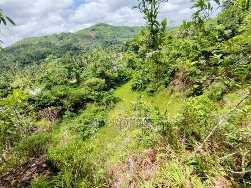 ( IS-1001) Valuable Commercial Land Sale in Homagama Madulawa