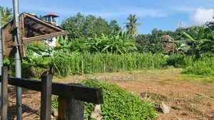 18P Commercial Bare Land for Sale in Maharagama