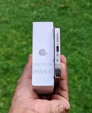 Apple iPhone 15 Pro Max 256GB (Used)