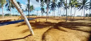 Land for Sale Thalagala