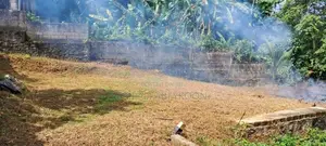 Bare Land for Sale - Godella