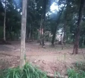 Land for Sale - Kurunegala