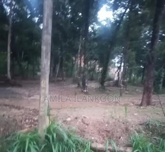 Land for Sale - Kurunegala