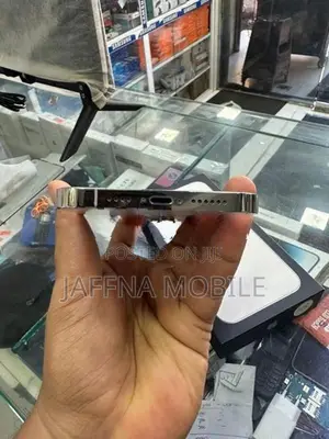Apple iPhone 13 Pro Max (Used)