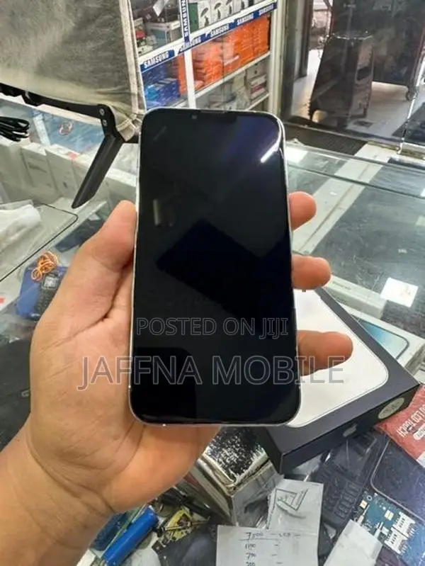 Apple iPhone 13 Pro Max (Used)
