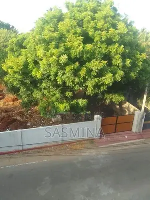 Land for Sale in Jaffna Town - Seeniwasagam Road