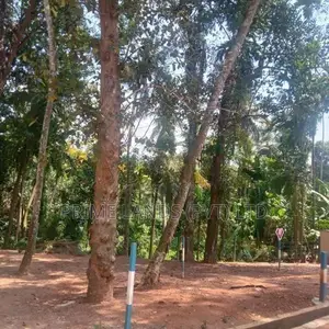 Kadawatha Town Land for Sale