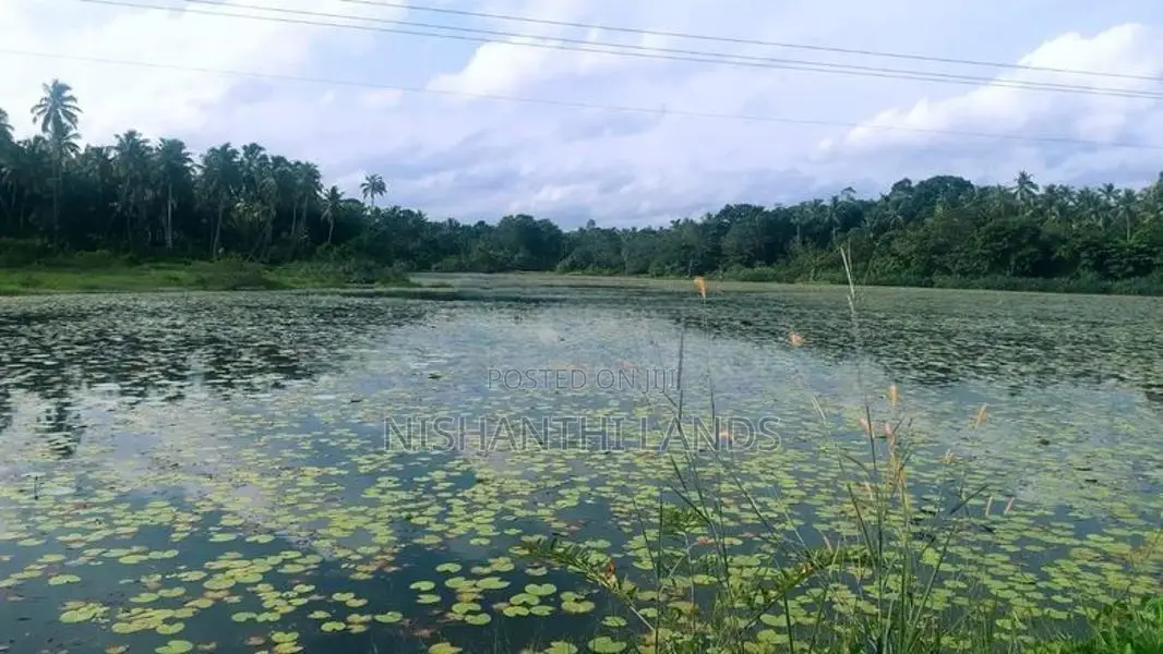 Valuable Land for Sale in Minuwangoda