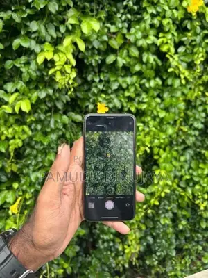 Apple iPhone XS (Used)